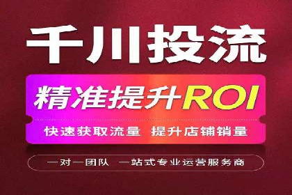 SEM搜索引擎优化：成功案例解析